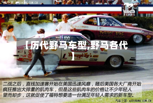【历代野马车型,野马各代】-第2张图片