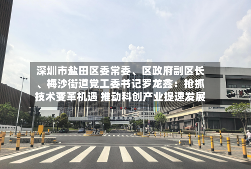 深圳市盐田区委常委、区政府副区长、梅沙街道党工委书记罗龙鑫：抢抓技术变革机遇 推动科创产业提速发展