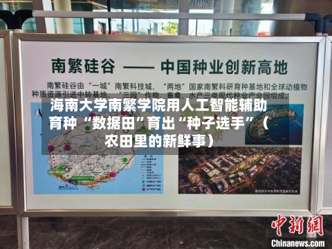 海南大学南繁学院用人工智能辅助育种 “数据田”育出“种子选手”（农田里的新鲜事）