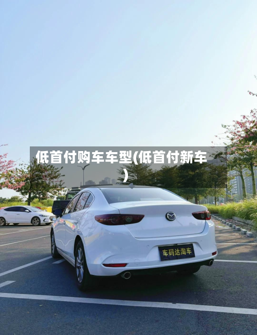 低首付购车车型(低首付新车)-第2张图片