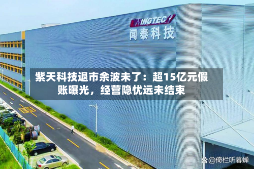 紫天科技退市余波未了：超15亿元假账曝光，经营隐忧远未结束-第2张图片