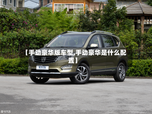 【手动豪华版车型,手动豪华是什么配置】-第3张图片
