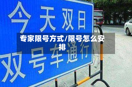 专家限号方式/限号怎么安排-第2张图片