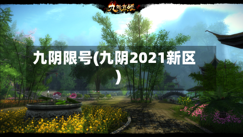 九阴限号(九阴2021新区)-第2张图片