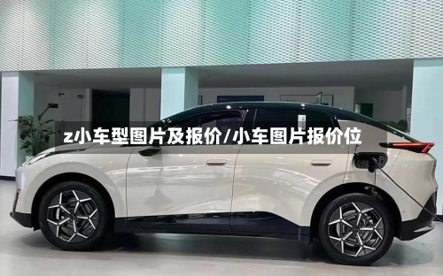 z小车型图片及报价/小车图片报价位