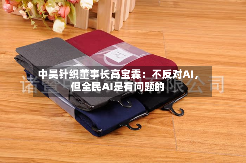 中昊针织董事长高宝霖：不反对AI	，但全民AI是有问题的-第3张图片