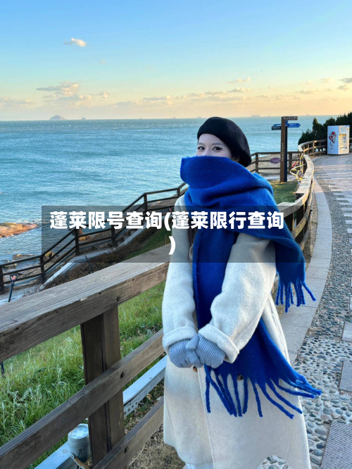 蓬莱限号查询(蓬莱限行查询)-第3张图片