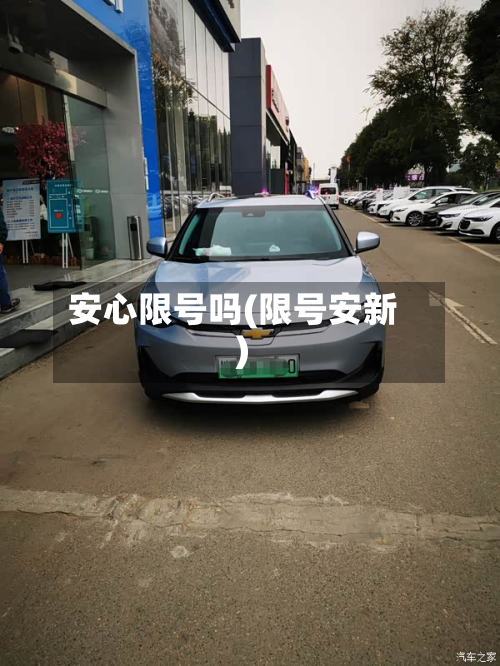安心限号吗(限号安新)-第2张图片