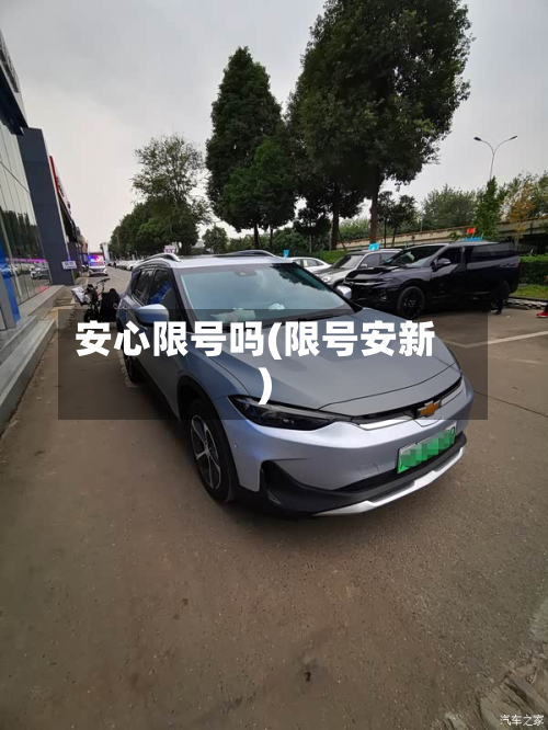 安心限号吗(限号安新)
