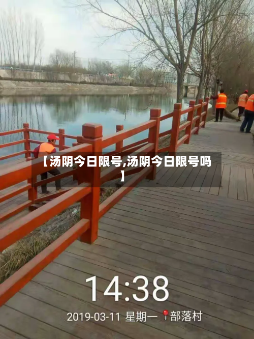 【汤阴今日限号,汤阴今日限号吗】-第3张图片