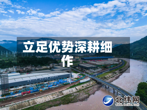 立足优势深耕细作