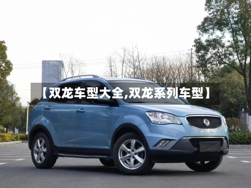 【双龙车型大全,双龙系列车型】