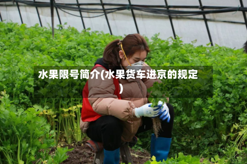水果限号简介(水果货车进京的规定)-第3张图片