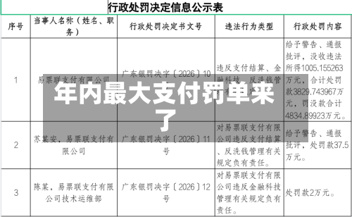 年内最大支付罚单来了-第2张图片