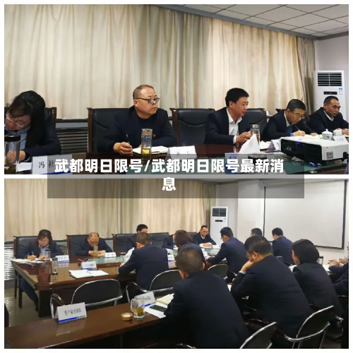 武都明日限号/武都明日限号最新消息-第2张图片