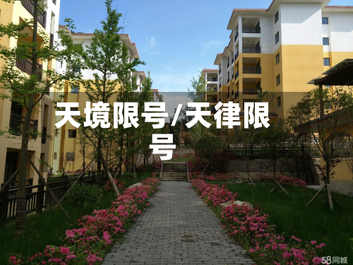 天境限号/天律限号-第3张图片