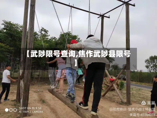 【武陟限号查询,焦作武陟县限号】-第2张图片