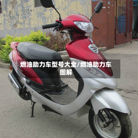 燃油助力车型号大全/燃油助力车图解