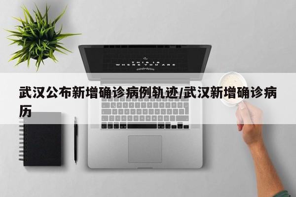 武汉公布新增确诊病例轨迹/武汉新增确诊病历