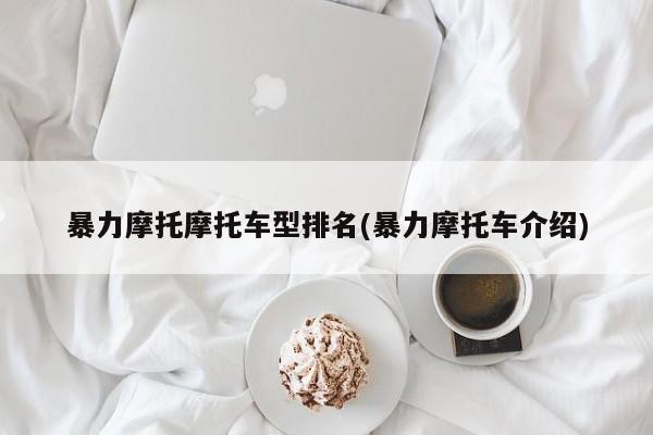 暴力摩托摩托车型排名(暴力摩托车介绍)