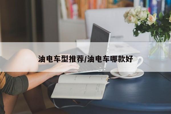 油电车型推荐/油电车哪款好