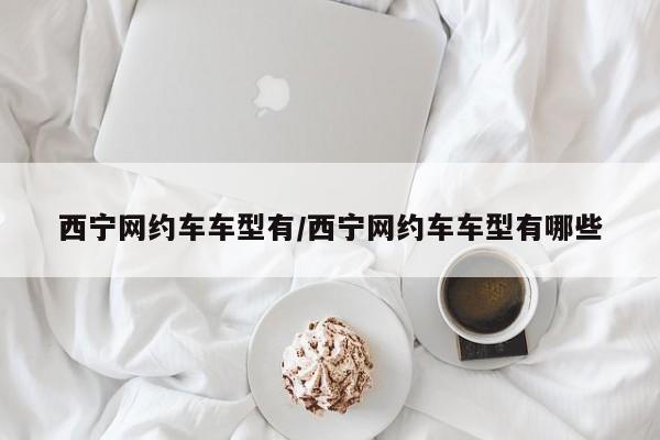 西宁网约车车型有/西宁网约车车型有哪些